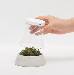 好的设计无关价格 从名创优品联名广美毕设看大众美学的破圈之路